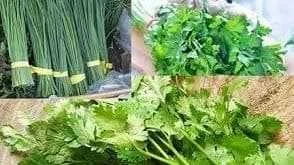 سبزی قورمه سبزی تهرانی چیست؟