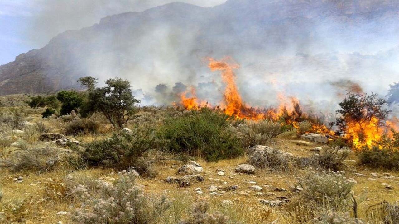 حریق در مراتع تلاجیم کوه مهدیشهر مهار شد - خبرگزاری مهر | اخبار ایران و جهان