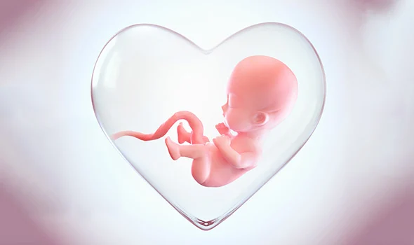 حرکات طبیعی و غیرطبیعی جنین در بارداری