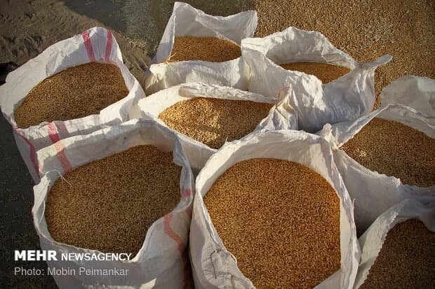 گوشت درخواست آزادسازی نرخ سبوس به نفع بازار مصرف گوشت نیست - خبرگزاری مهر | اخبار ایران و جهان